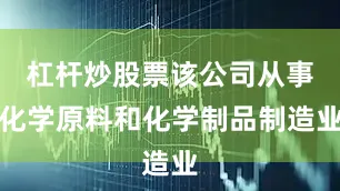 杠杆炒股票该公司从事化学原料和化学制品制造业