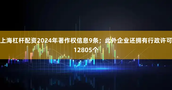 上海杠杆配资2024年著作权信息9条；此外企业还拥有行政许可12805个